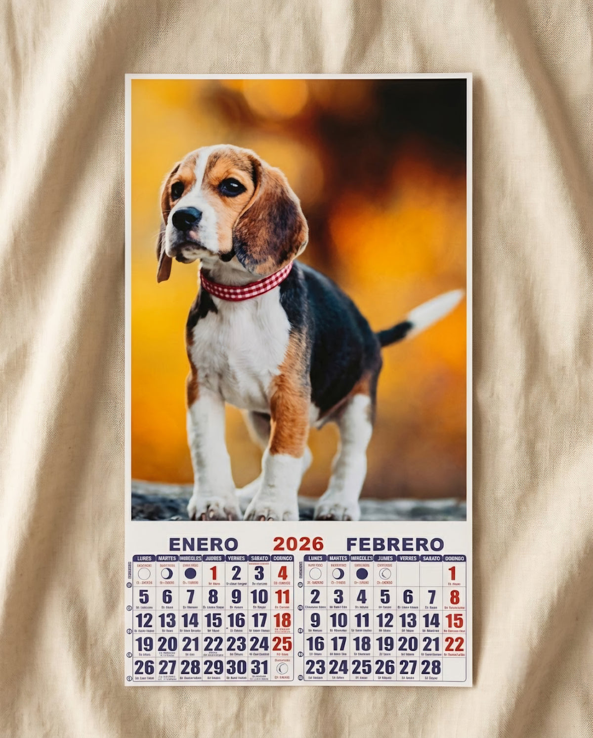Calendario A4 Personalizado con Fotos — Regalo Único AURI
